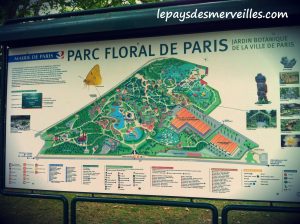 parc floral paris 090813 (11)