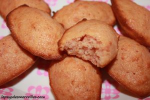 Madeleine aux biscuits roses de reims (2)