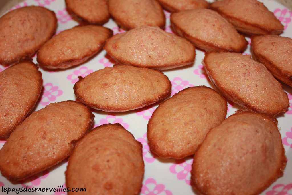 Madeleine aux biscuits roses de reims (4)