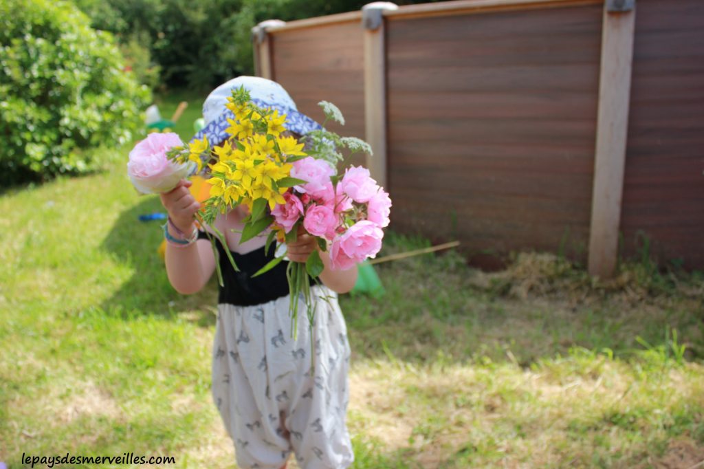 fleurs colorées 230614 (1)