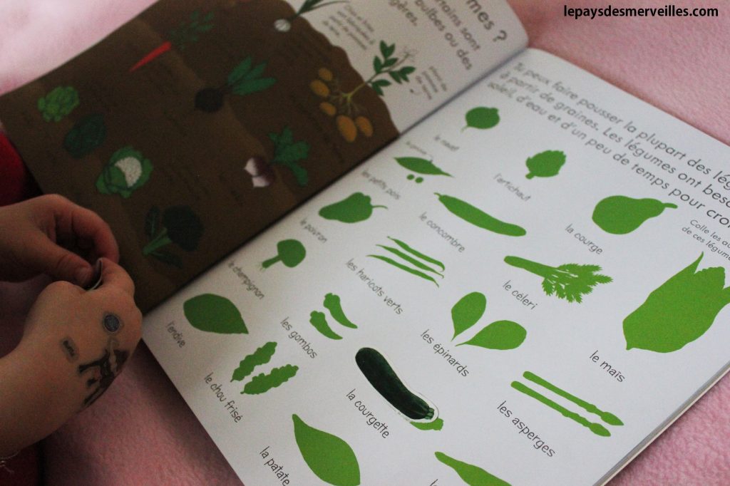 Mon premier livre les aliments Editions Usborne (4)