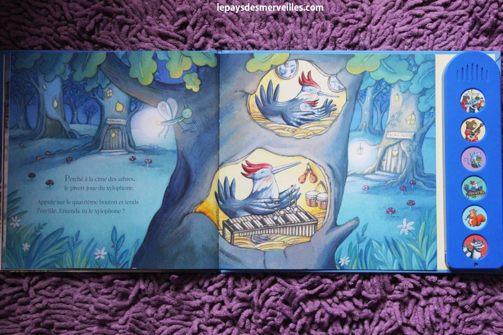 mon petit livre musical pour le soir - Usborne (2)