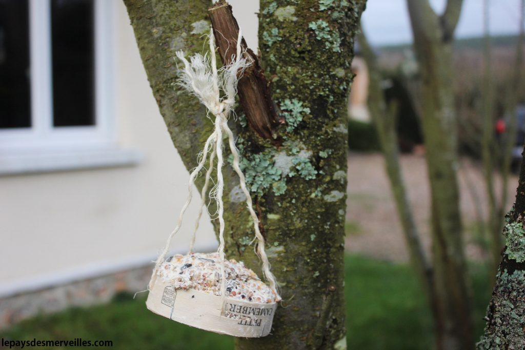 comment bien nourrir les oiseaux du jardin avec une mangeoire boite à Camembert