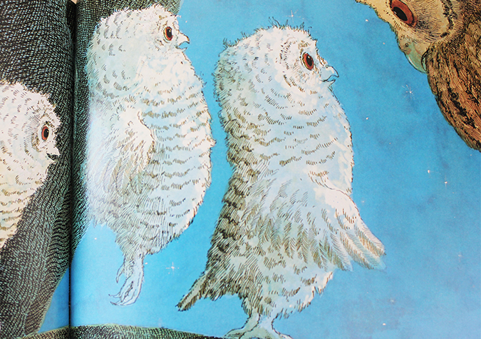 bébés chouettes Martin Waddell Patrick Benson