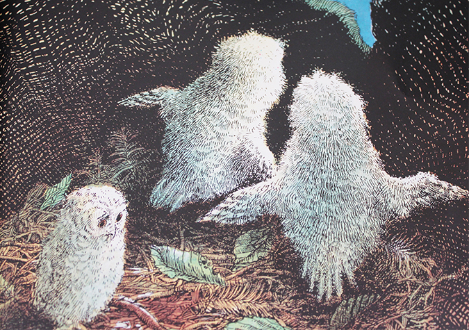 litterature jeunesse bébés chouettes