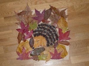 bricolage-automne-feuille-herisson