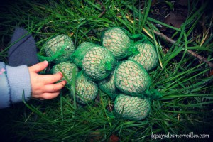 boule de graisse