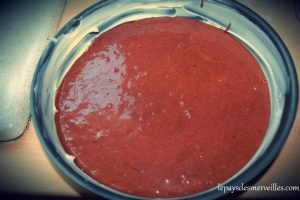 gateaunesquikchocolat (2)