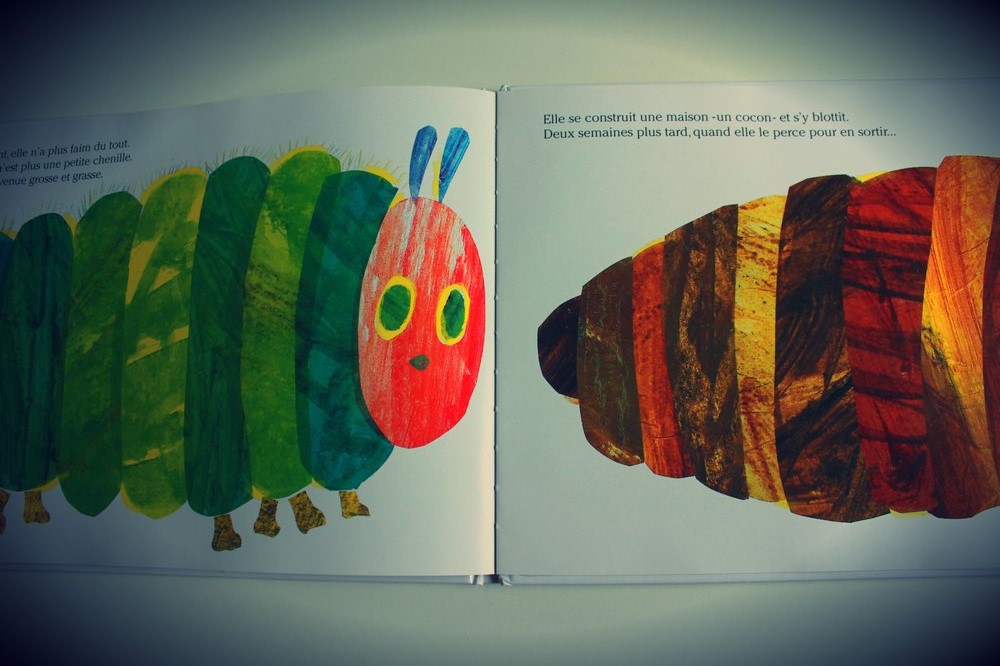 La chenille qui fait des trous - Eric Carle°° - Le pays des merveilles