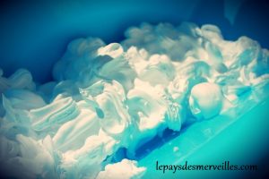 mousse à raser (1)