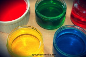 atelier gelée