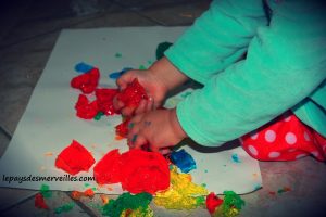 gelée colorée 220613 (3)