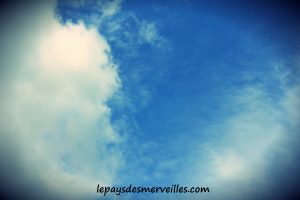 je vois la vie en bleu (2)