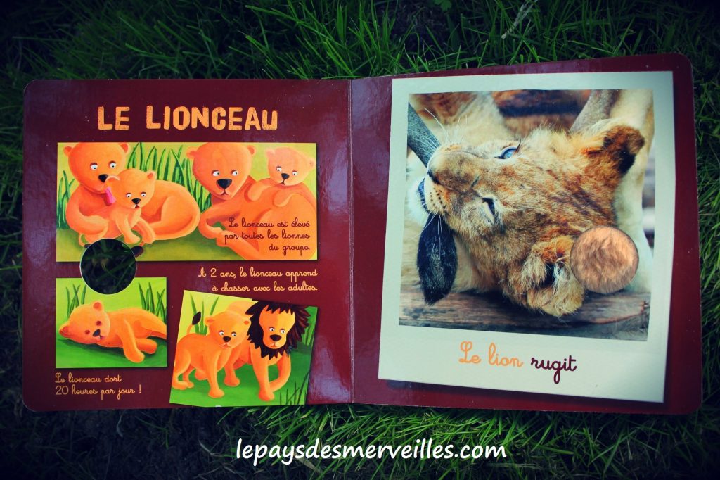 Mon coffret des animaux (5)