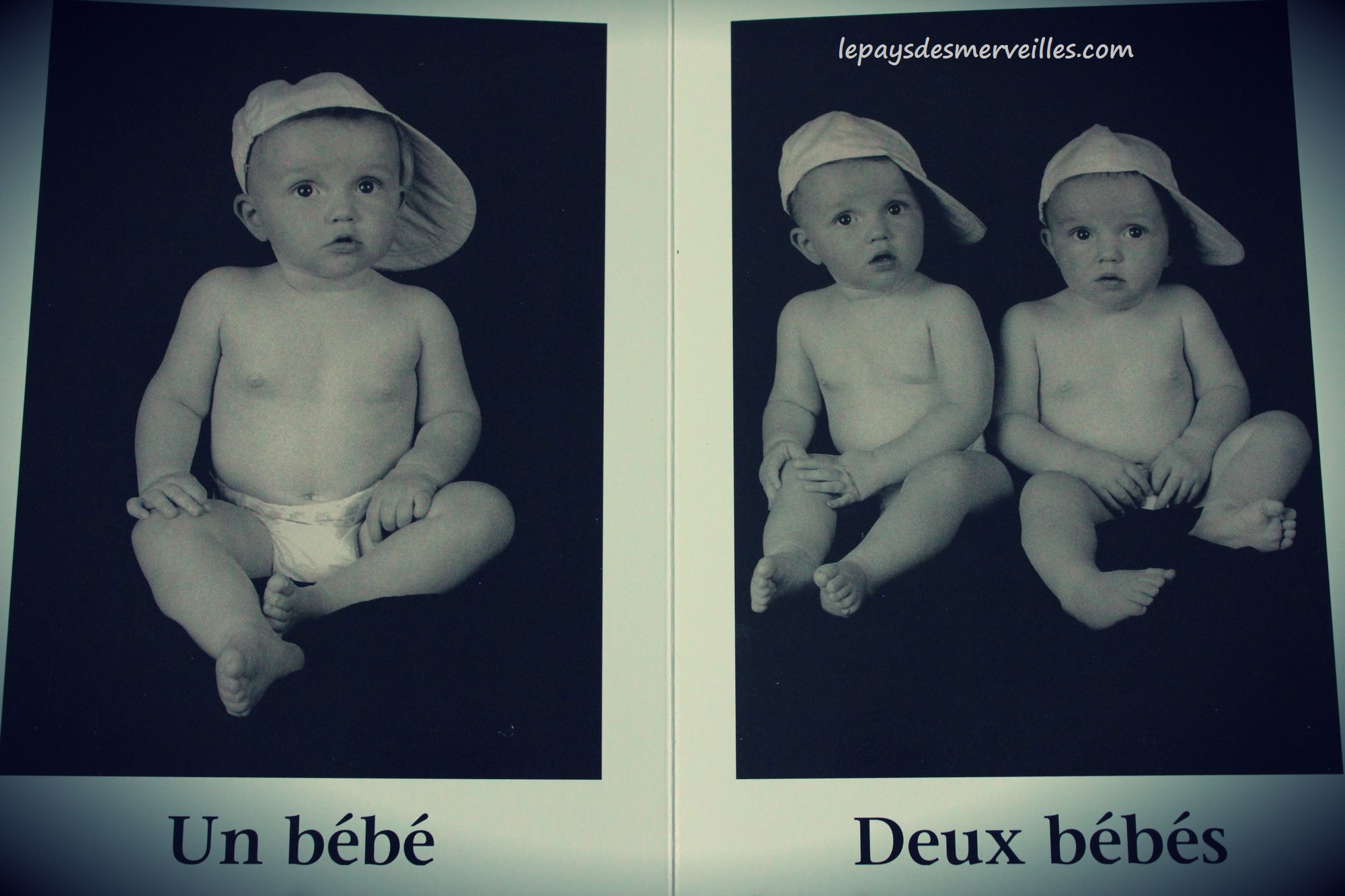 Beaucoup de beaux bébés