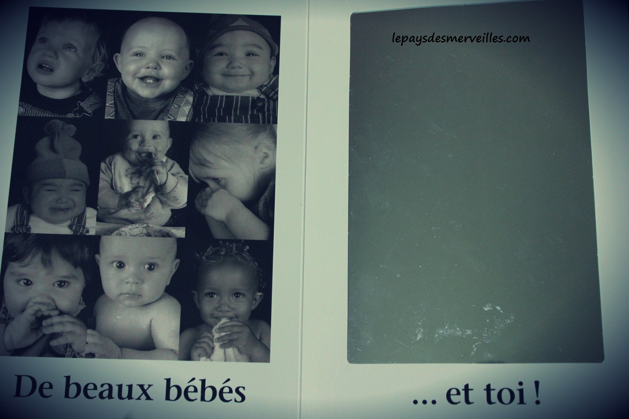 Beaucoup de beaux bébés - Le pays des merveilles