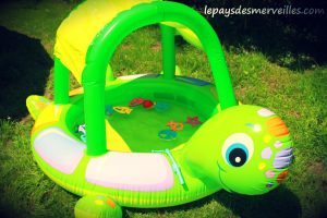 piscine tortue