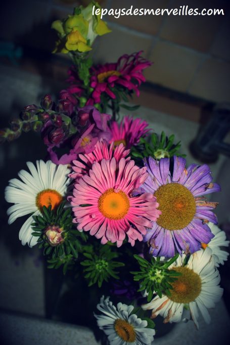 cueillette de pithienville bouquet de fleurs au poids