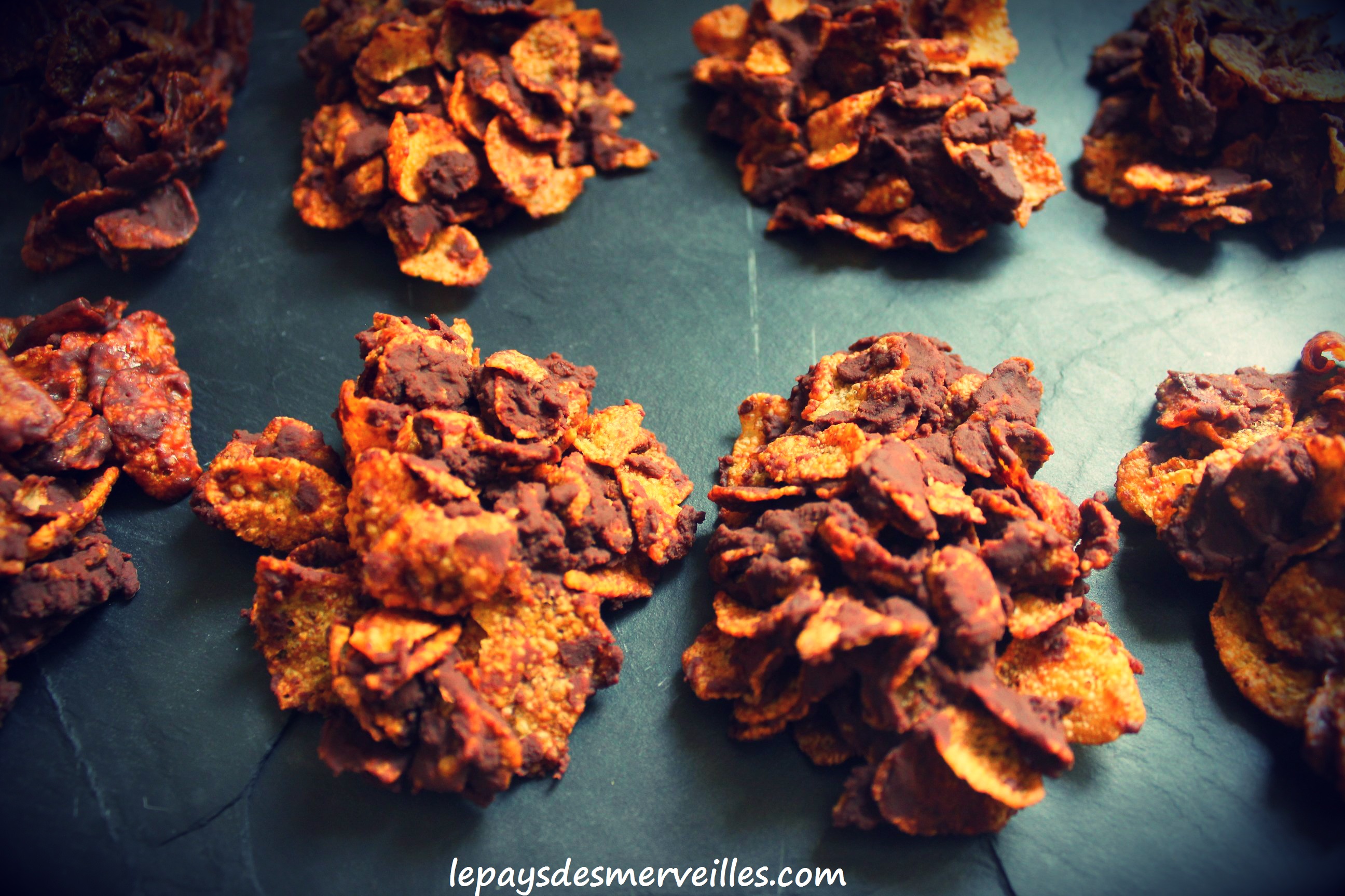 Rose Des Sables Sans Végétaline Le Pays Des Merveilles