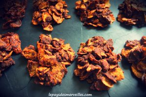 Rose des sables sans végétaline (1)