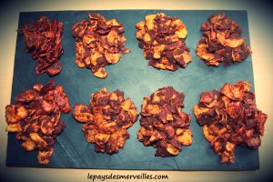Rose des sables sans végétaline (2)