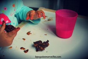 Rose des sables sans végétaline