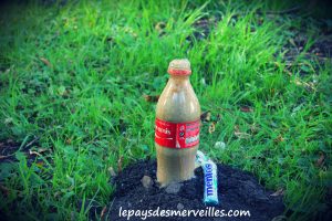 expérience coca et mentos (3)