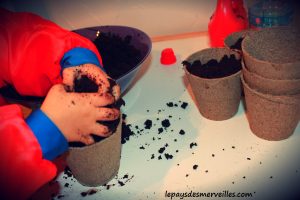 Plantation de fleurs IKEA 130913 (5)