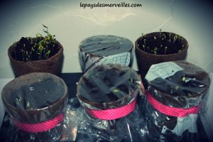 Plantation de fleurs IKEA 170913