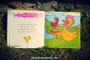 berceuses et comptines des tout-petits Livre CD (3)