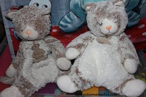 Doudou histoire d'ours chat (1)