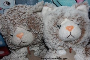 Doudou histoire d'ours chat (2)