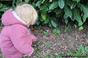 Les champignons 061013 (17)