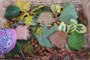 peinture champignon et collage feuille 121013 (16)