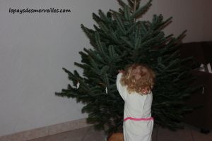 301113 (1) Sapin de Noel 2013