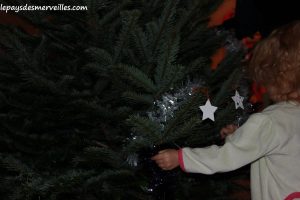 301113 (3) Sapin de Noel 2013