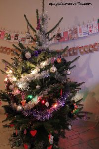301113 (4) Sapin de Noel 2013