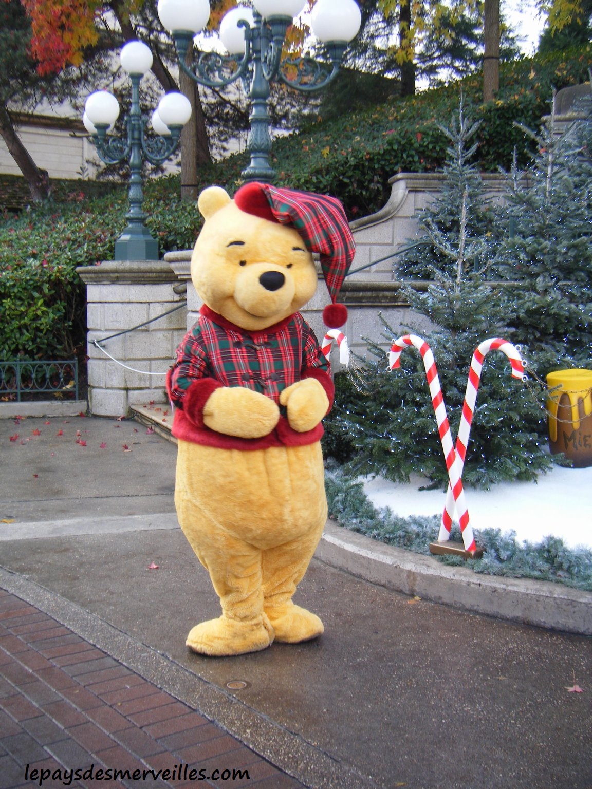 Disneyland Avec Un Enfant De 2 Ans Le Pays Des Merveilles
