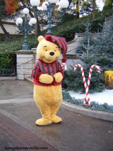 disneyland décembre avec enfant de 2 ans (5)