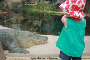 210713 visite au zoo de Cerza