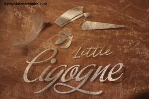 Avis box little cigogne (6)