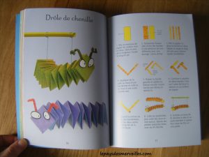 Livre 100 idees creatives Usborne (2)