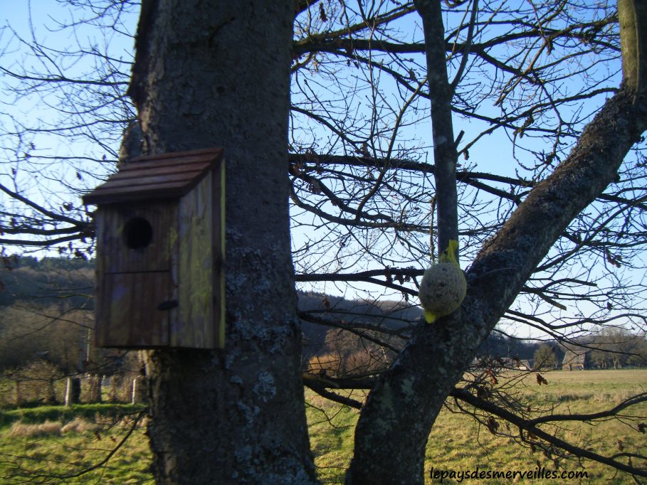 Installer nichoir oiseaux en bois