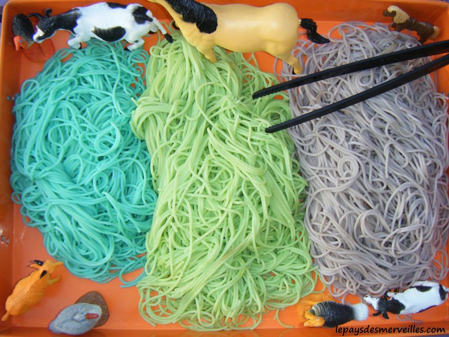 bac sensoriel spaghettis colorés