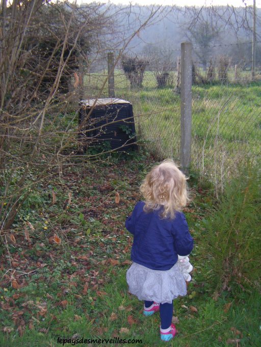 compost au fond du jardin