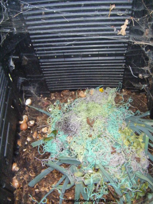 intérieur compost abandonné