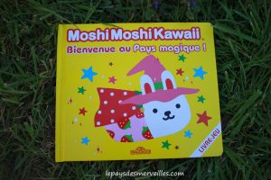 Box livres Le Koutchoulou (24)