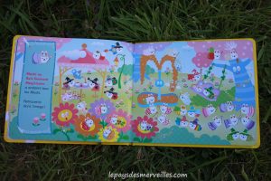 Box livres Le Koutchoulou (25)