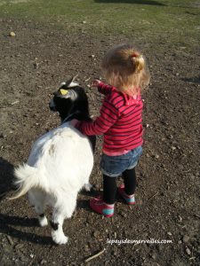 samedi mode - tenue fille 2 ans et demi (2)
