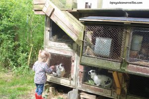 Court séjour à la ferme (20)